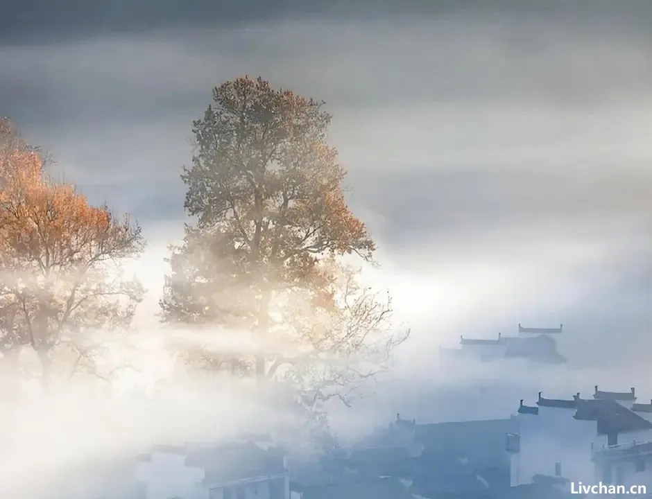 元代周德清的十首散曲,枫林霜叶舞,荞麦雪花飘,又一年秋事了