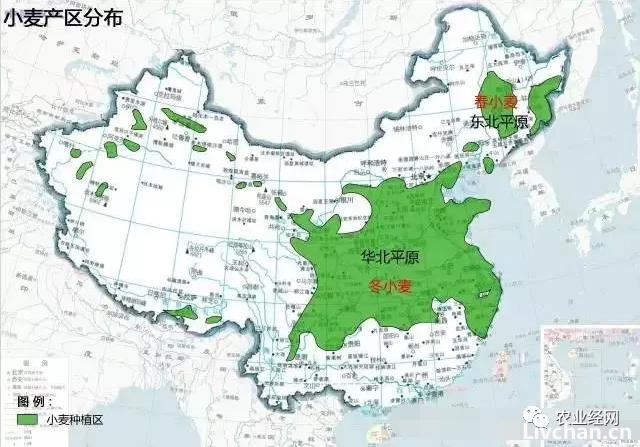 搞农业必看的（最新版）中国农业地图
