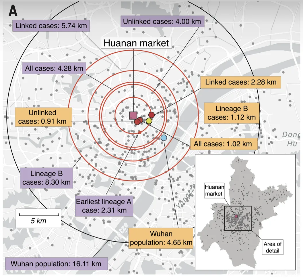 大反转！最新研究：现有数据无法证实“武汉华南海鲜批发市场是新冠疫情的起源地”，原因有三...