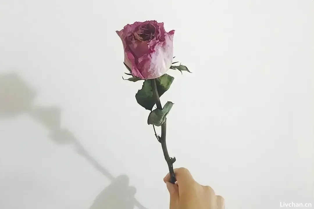 一旦男女成为恋人,这 3 个隐私特别重要,别逢人就说
