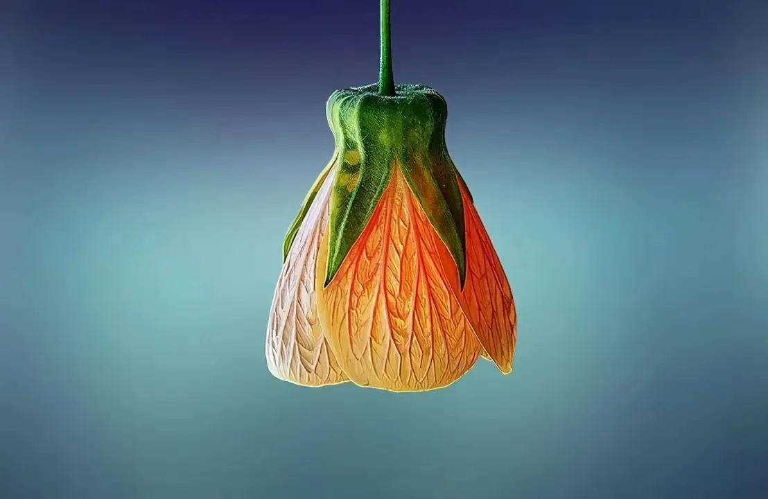 人生最大的聪明,无非就是“难得糊涂”