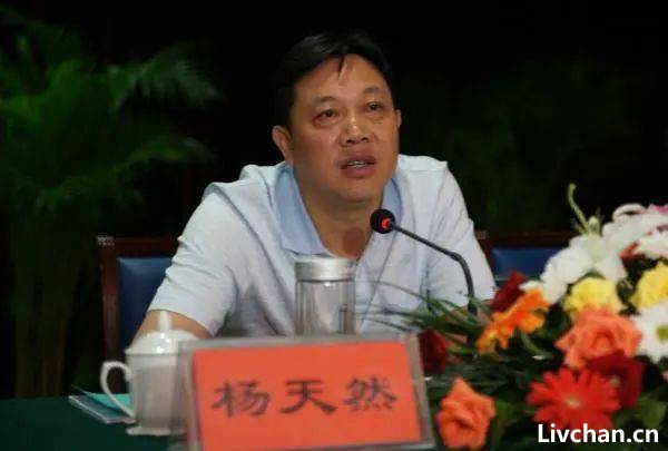 网红书记陈行甲谈离职：上级主要领导曾呵斥我“你给老子滚”……