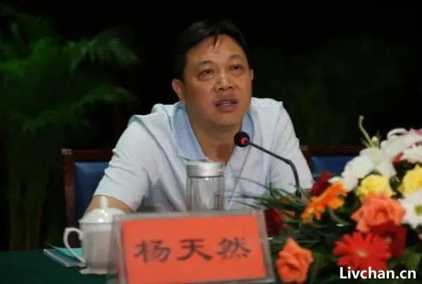 网红书记陈行甲谈离职：上级主要领导曾呵斥我“你给老子滚”……