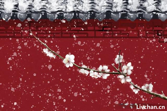 白梅似冬雪，暗香藏不住