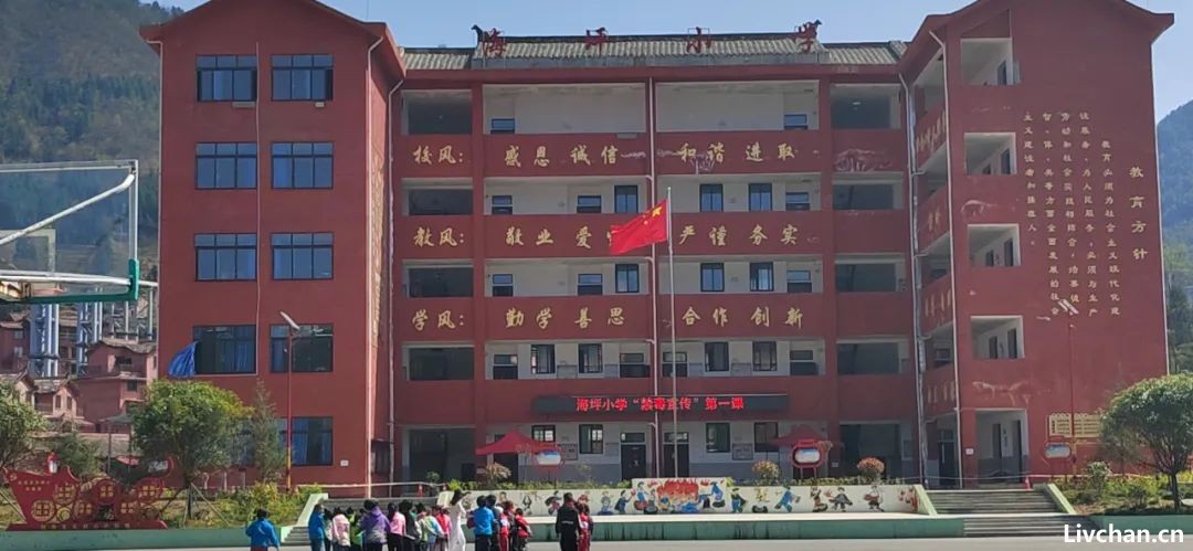 女企业家讨工程款陷“寻衅滋事”被批捕！