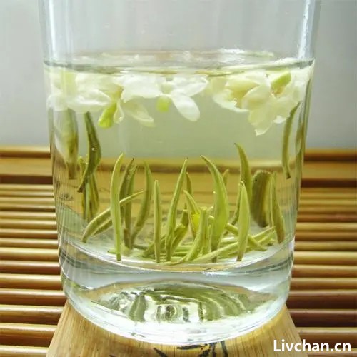 夏天养茉莉，记住“5不缺”，开花“无敌多”