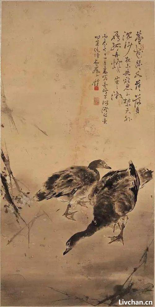 鉴赏 