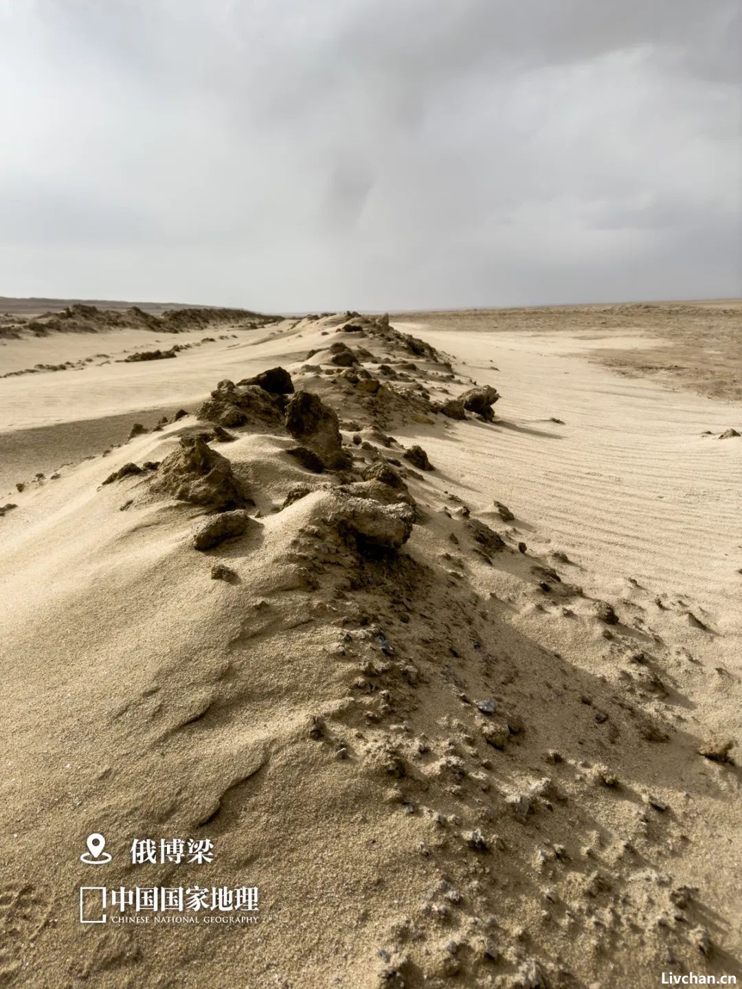8张图，带你了解中国“最孤独”的城市