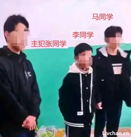 3名初中生霸凌同学后将其残杀，律师：支持下调刑事责任年龄