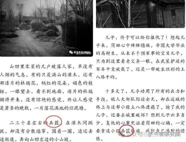 水石：站在中华民族的立场看《杜鹃花落》