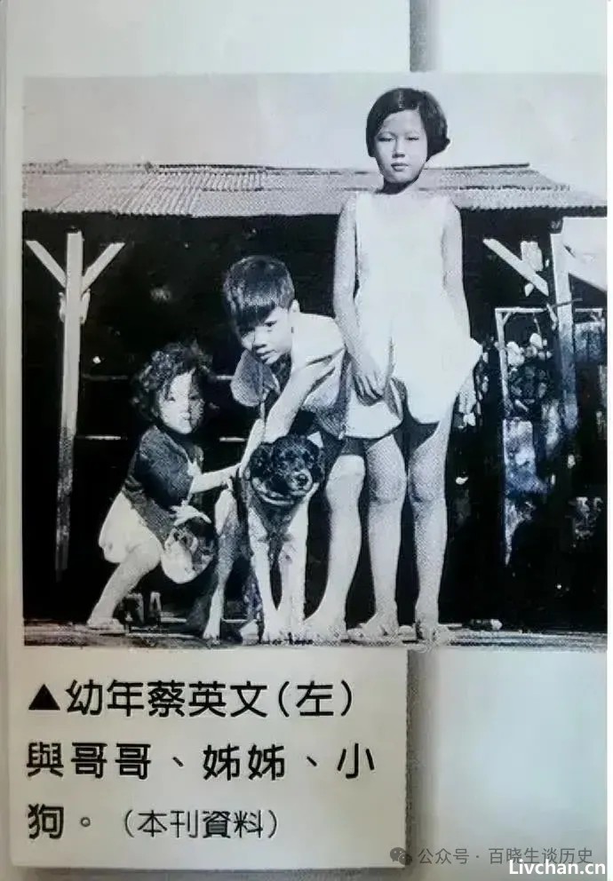 蔡英文家族历史令人咂舌,她为何冒死搞“台独”?原来是汉奸家族 蔡英文家族历史令人咂舌,她为何冒死搞“台独”?原来是汉奸家族