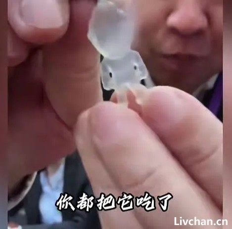 贞观——看了陕台《华山论鉴》海选视频，有多少人笑到打鸣？
