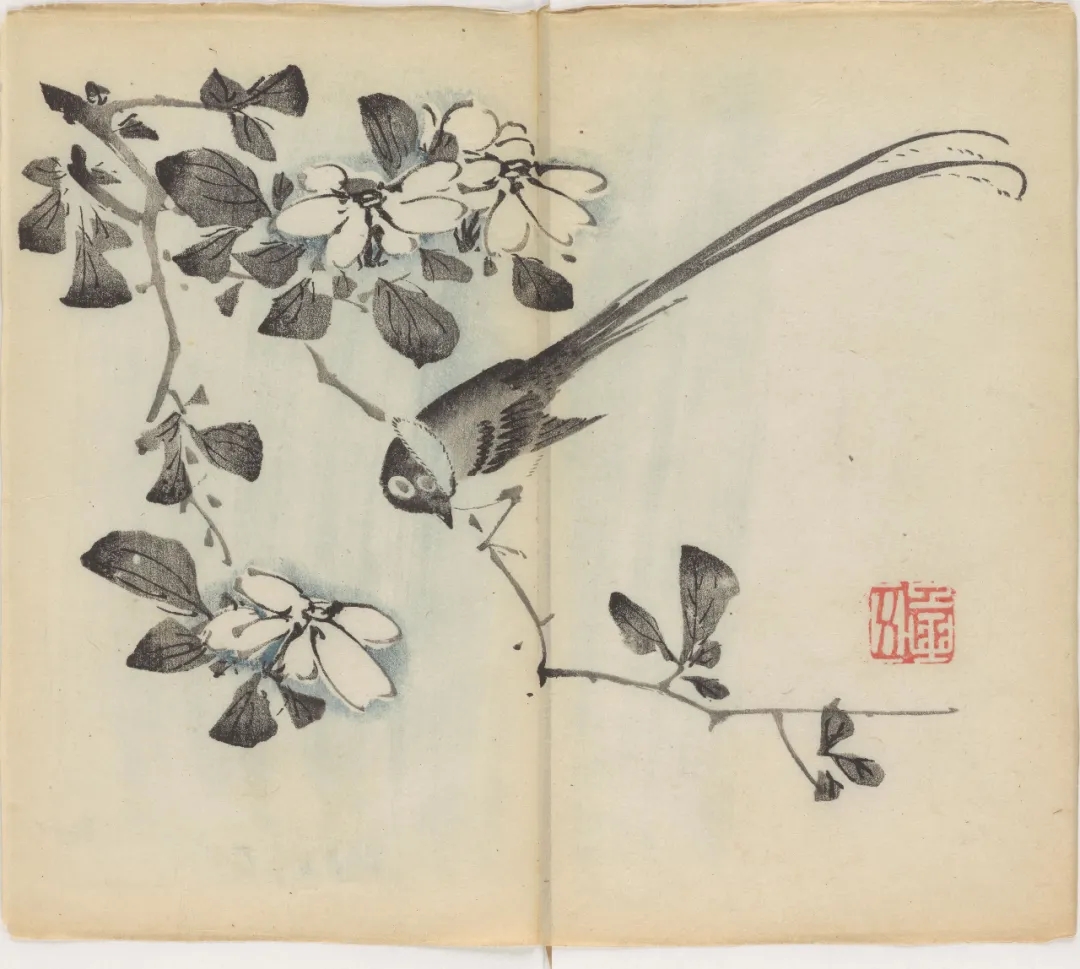 明代古籍《十竹斋画谱》，中国传统绘画学习资料