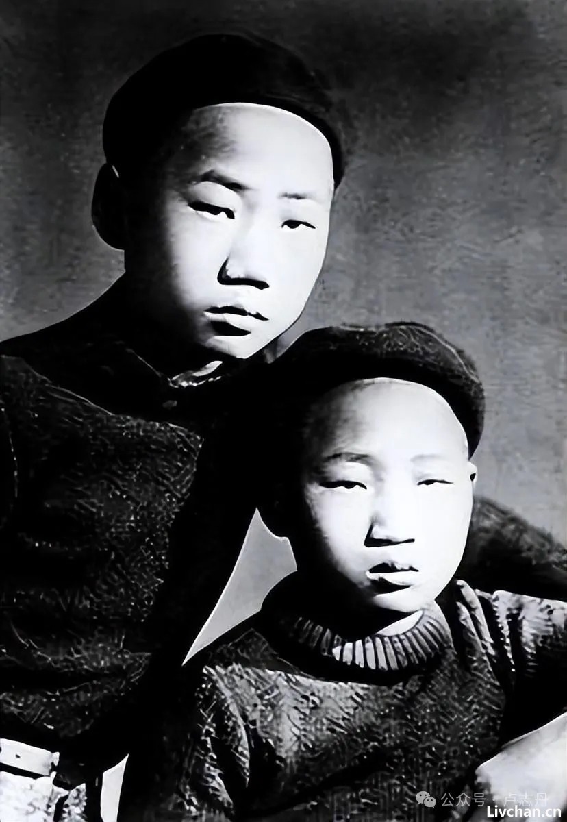 1994年，93岁的张学良在美国因何感叹道：真没想到两个孤儿竟会是毛泽东的儿子！