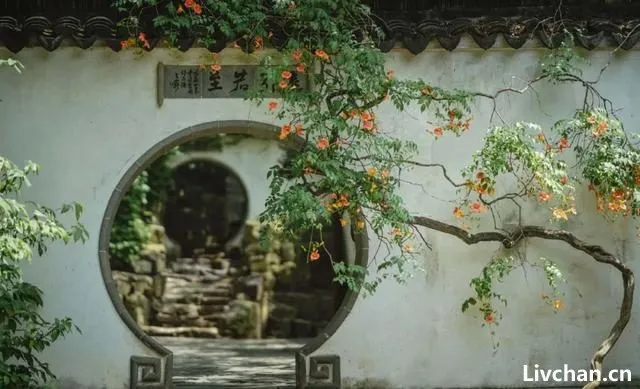 小隐庭院,心旷神怡