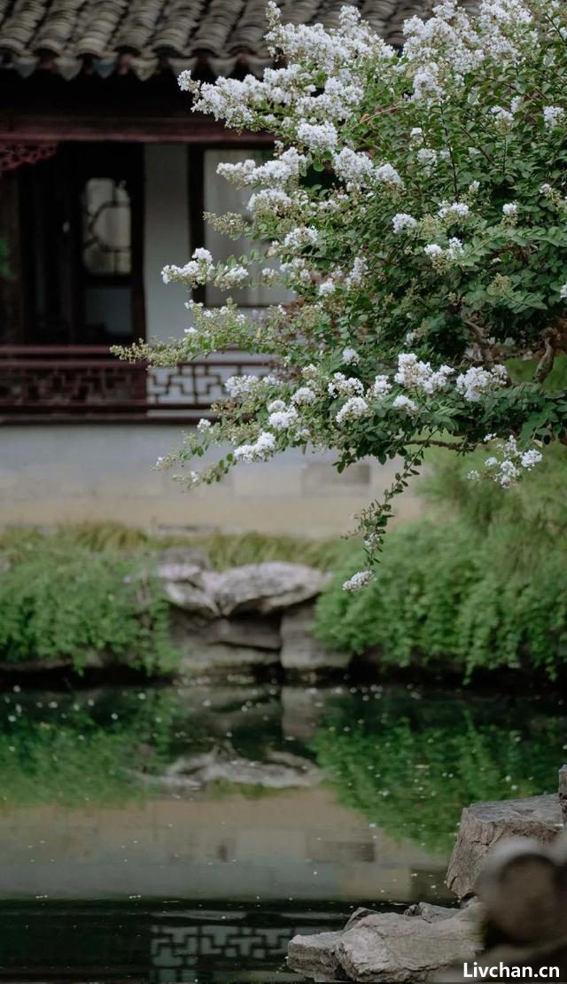 小隐庭院，心旷神怡