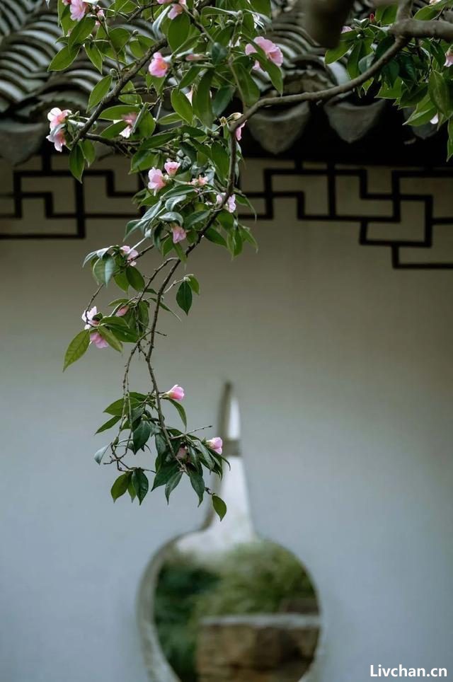 小隐庭院，心旷神怡
