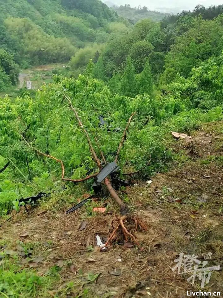 夫妻驾驶特斯拉冲下山路身亡，行车记录仪却无数据