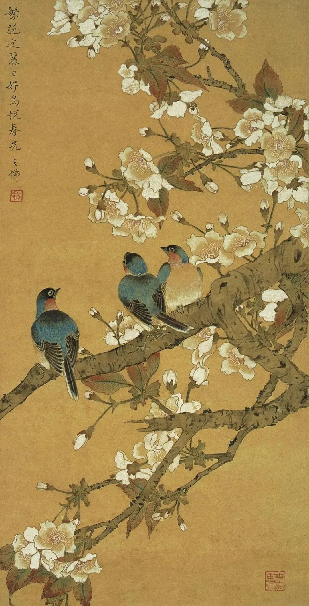 陈之佛的这组工笔花鸟，美啊！