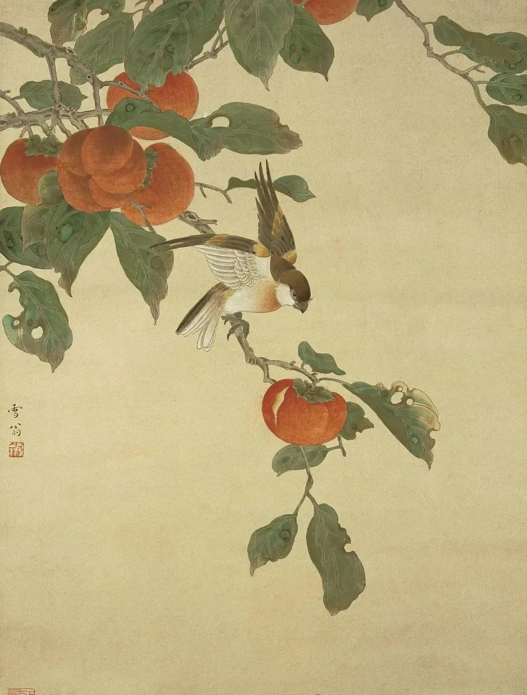 陈之佛的这组工笔花鸟，美啊！