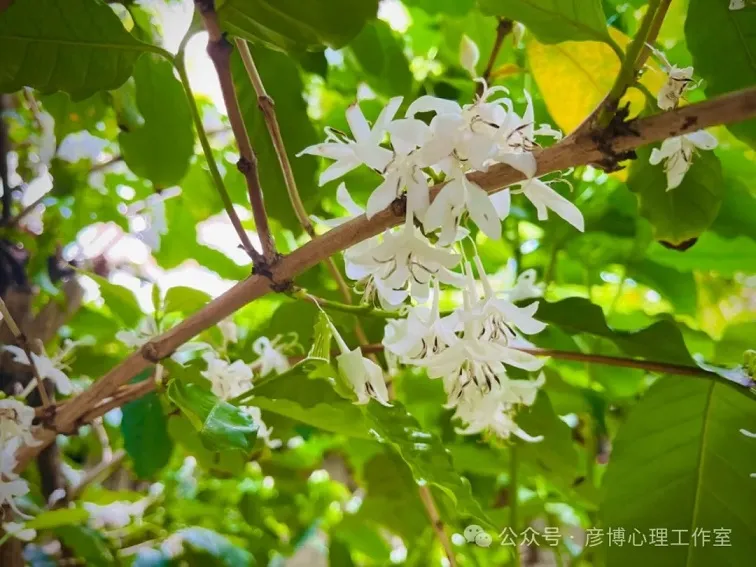 慢下来,才能发现世界的美好