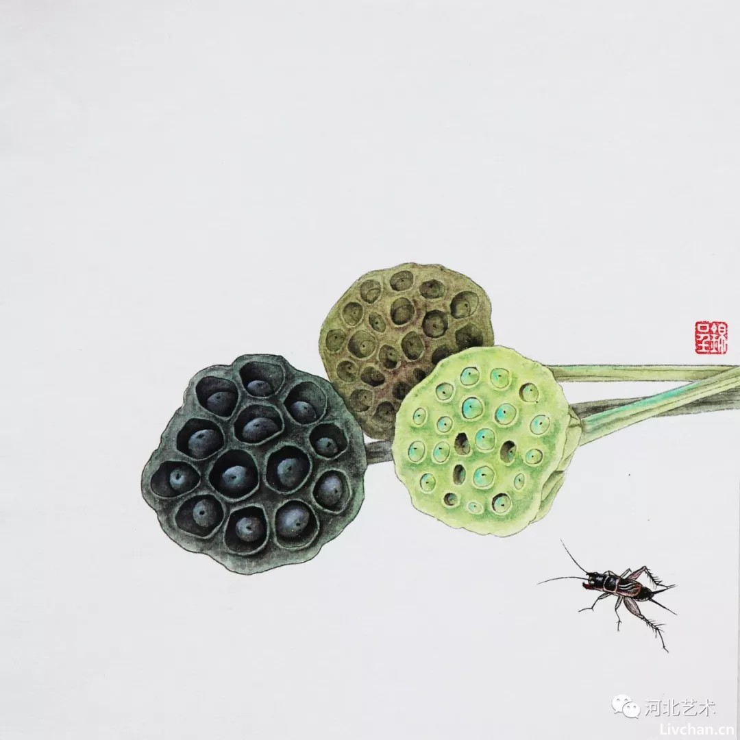 画家锦呈作品欣赏（1）