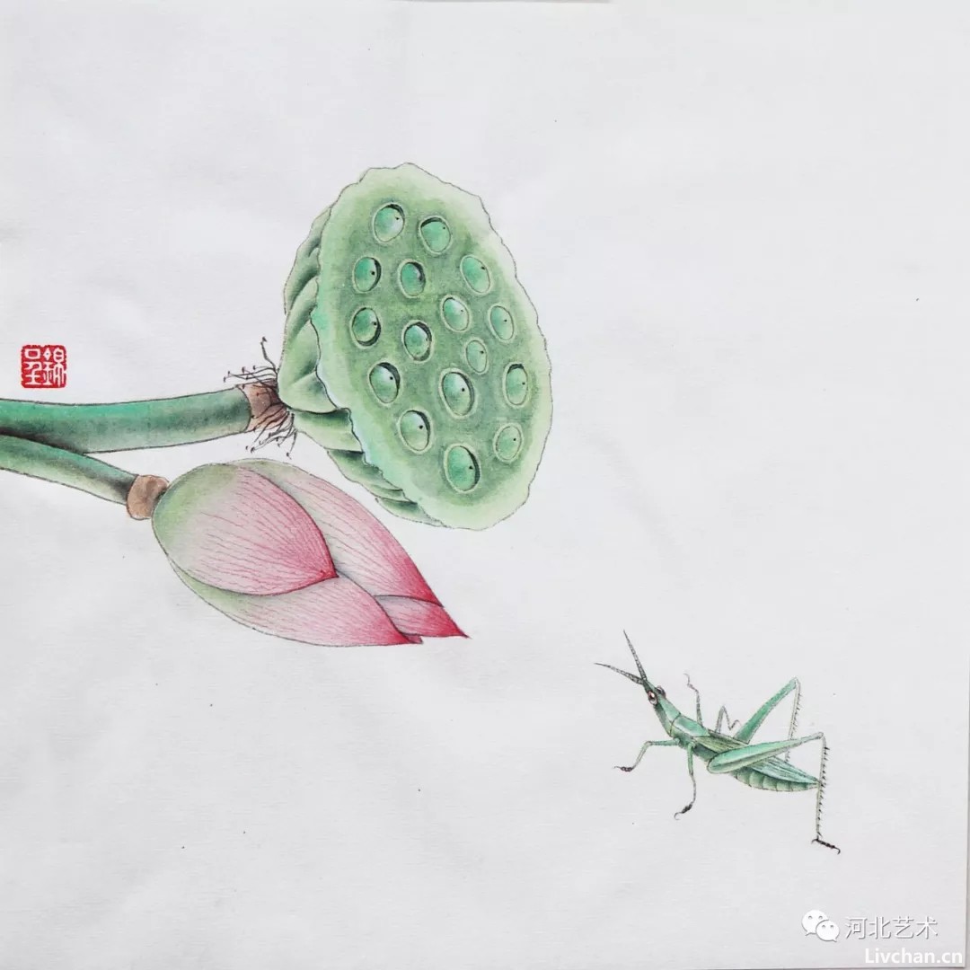 画家锦呈作品欣赏（1）