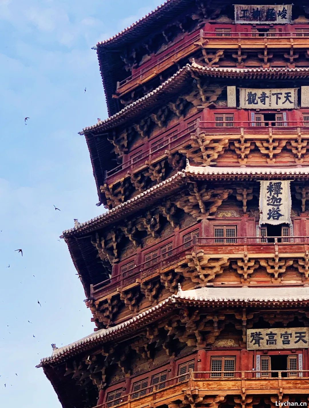 地球知识局—— 山西北部的应县，藏着一个天下第一！
