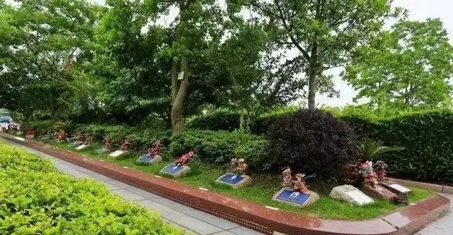 中国丧葬礼俗的前世、今生与未来……