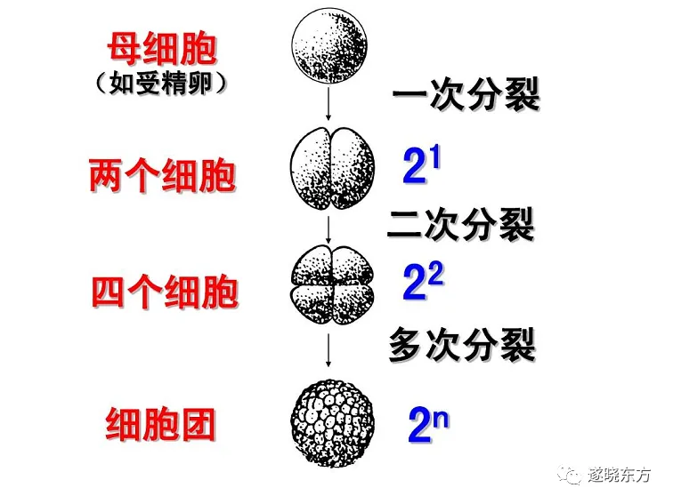 揭秘“道生一，一生二，二生三”和“两仪、四象、八卦”的物理含义