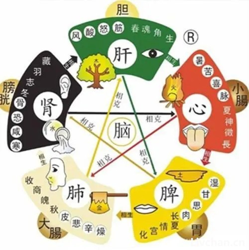 72条很有用的中医常识，太难得了