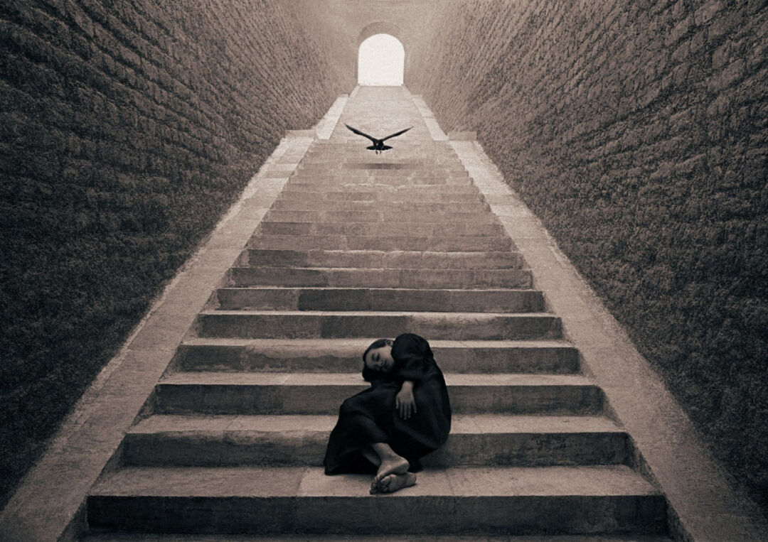 格雷戈里·科尔伯特——凭一张张照片震撼了1000w人：为热爱而死，是一种恩赐          