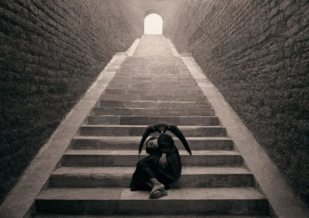 格雷戈里·科尔伯特——凭一张张照片震撼了1000w人：为热爱而死，是一种恩赐          