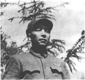 上甘岭战役的前4天（10月14日至10月17日）：艰苦的阵地拉锯战，战时的交通要道很有秩序