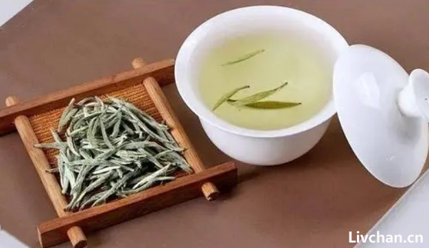 茶文化知识大全