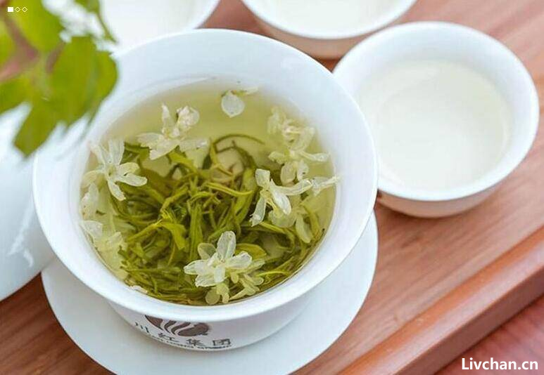 茶文化知识大全