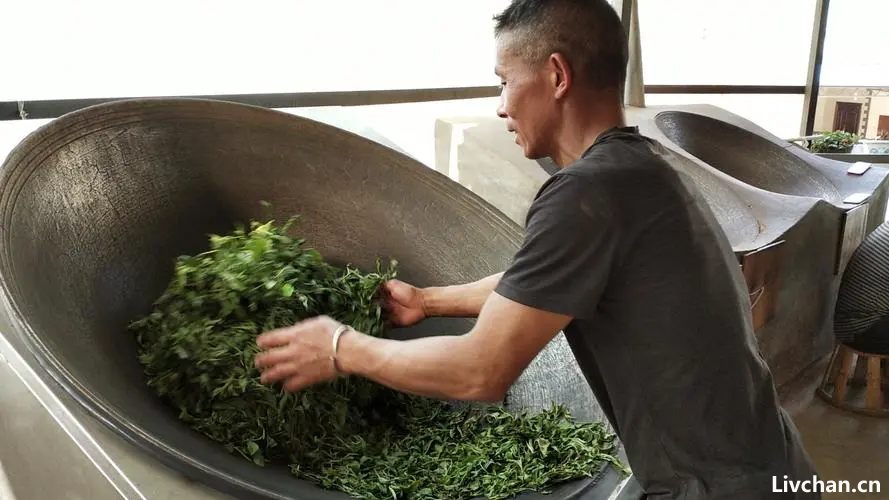 茶文化知识大全