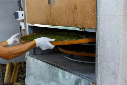 茶文化知识大全