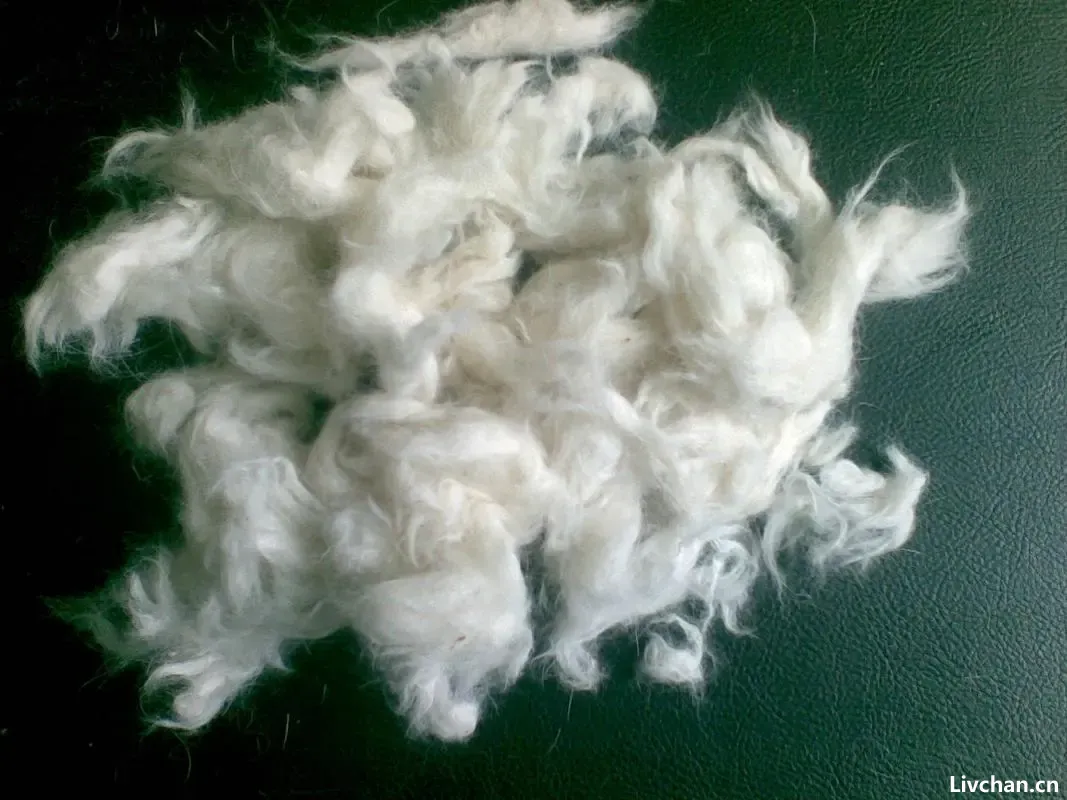 服装知识大全 服装知识大全