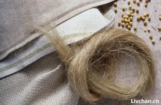 服装知识大全 服装知识大全