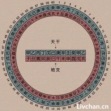 天干地支知识大全