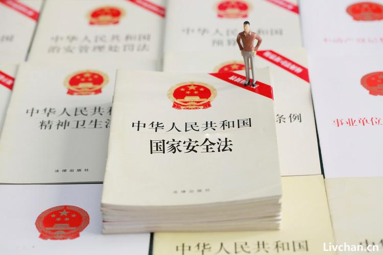 国家安全知识大全