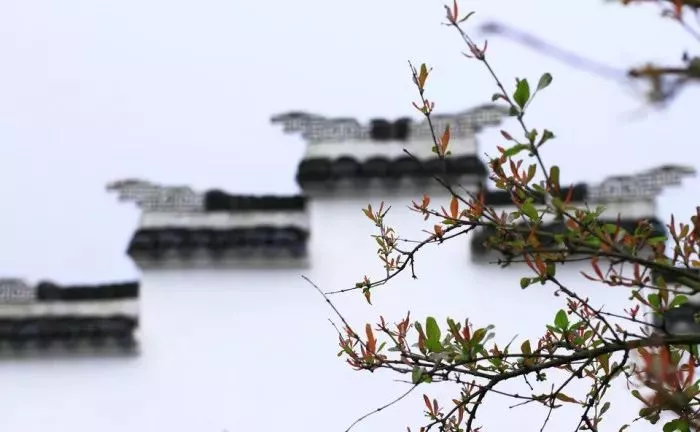 整整30篇，全是经典，建议全文背诵！