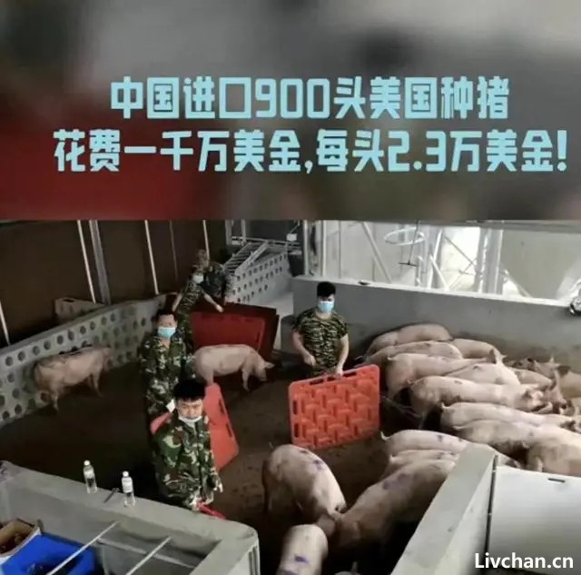 脑洞大开的昔日天涯热帖——迷惘者往事书（残本）