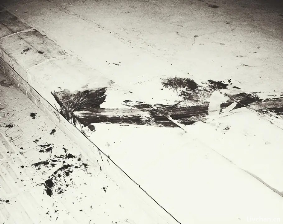 1985年震惊全美的奇案，凶嫌设局骗过李昌钰，却被一个小女孩戳破