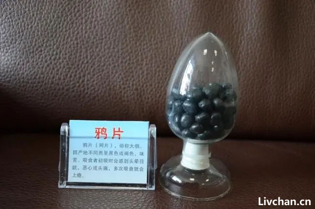 毒品知识大全