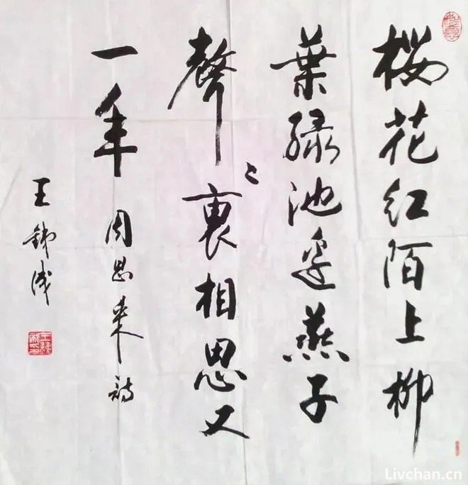 马未都 马未都