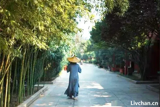最积德的四件事，哪怕做过一件，也会功德无量