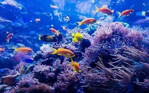  海洋知识大全  