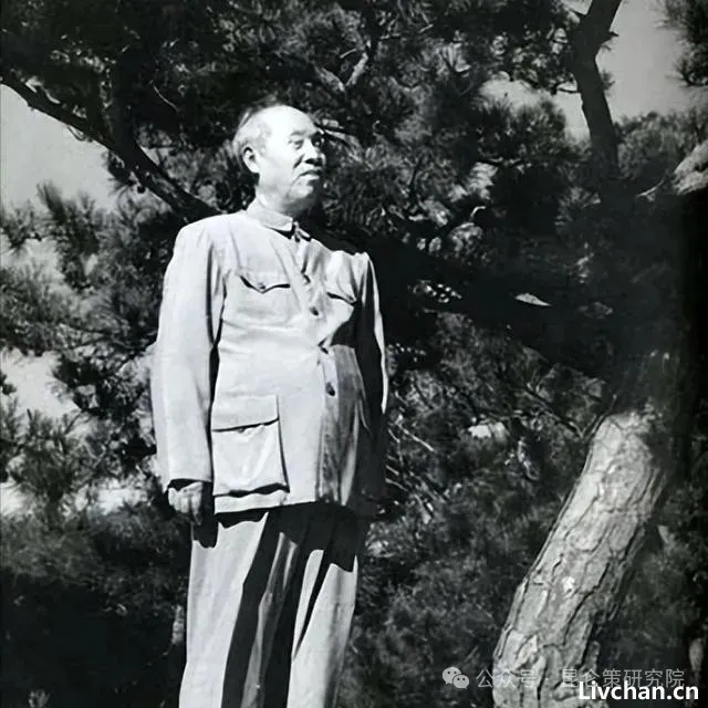 罗援：董必武为何称“谍王”？